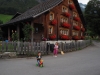 J3_4_Weisstannen